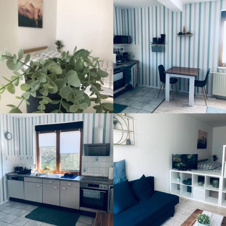 Ferienwohnung Shakira Penig ภายนอก รูปภาพ